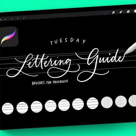 Bonus Item for Lettering Guides Brush Set}