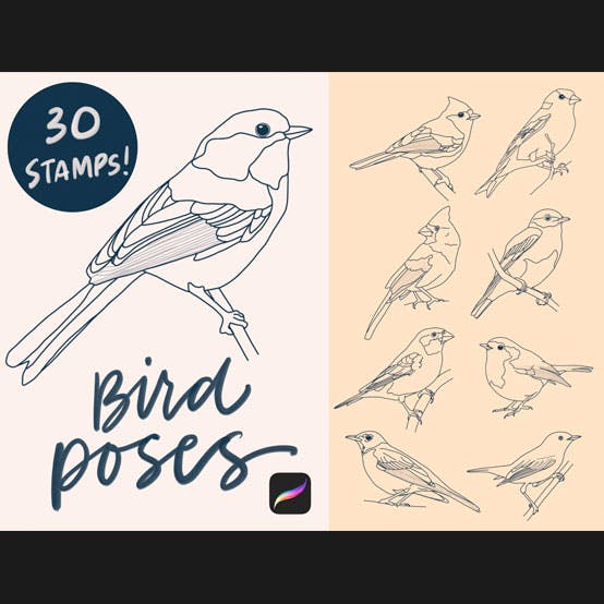 Bonus Item for Bird Poses Brush Set}