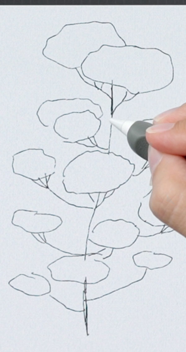 Rough Sketching