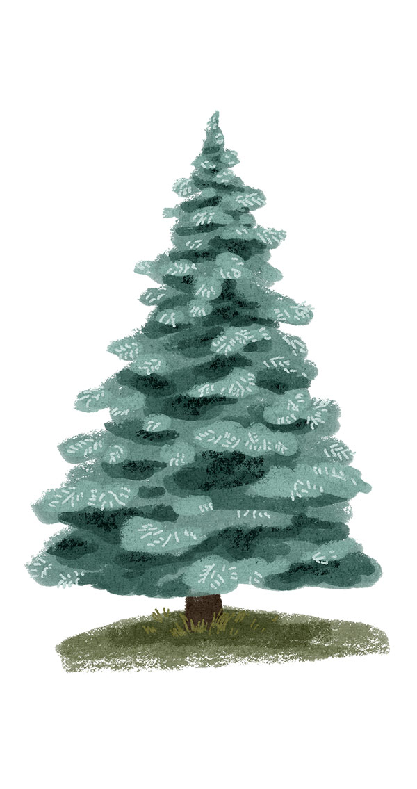 Painting Trees