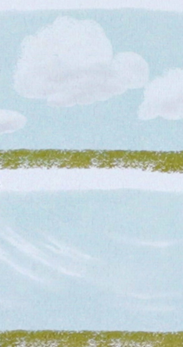 Painting Skies