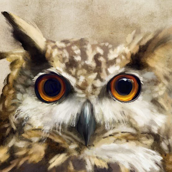 Bonus Item for Project 10: Mixed Media Owl}