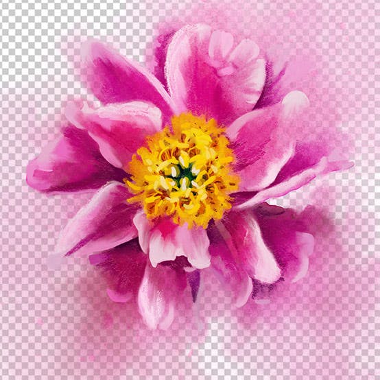Bonus Item for How to Save Your Artwork with Transparent Backgrounds}