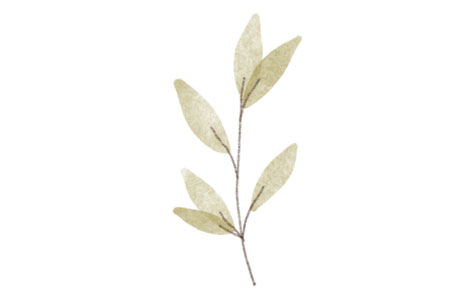 Unlimited Paper + Paint