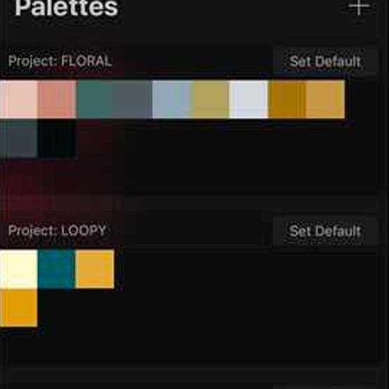 Bonus Item for Every project’s color palette as a download}
