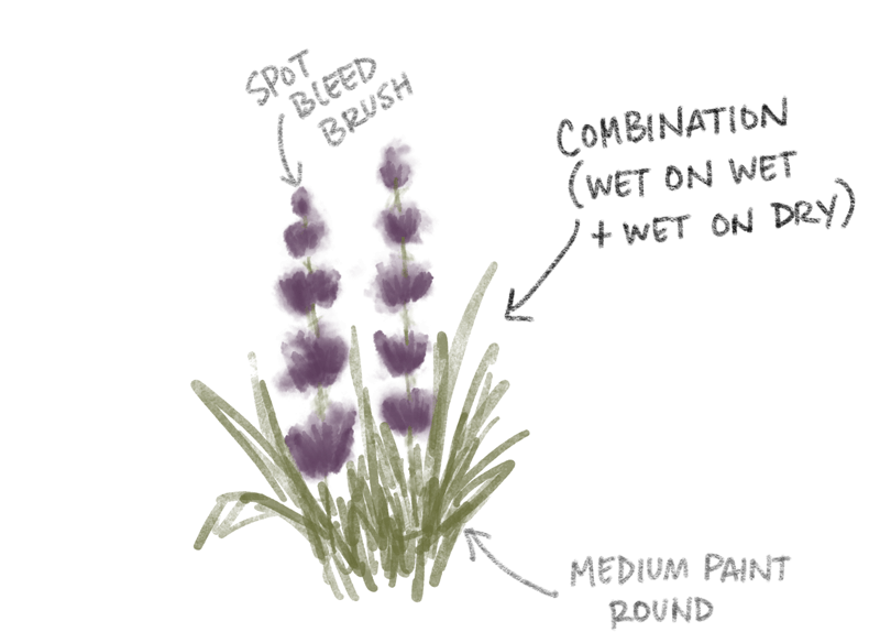 Procreate Watercolor techniques: Combination