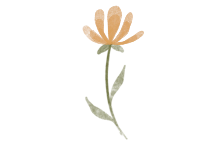 Basic Leaves + Petals