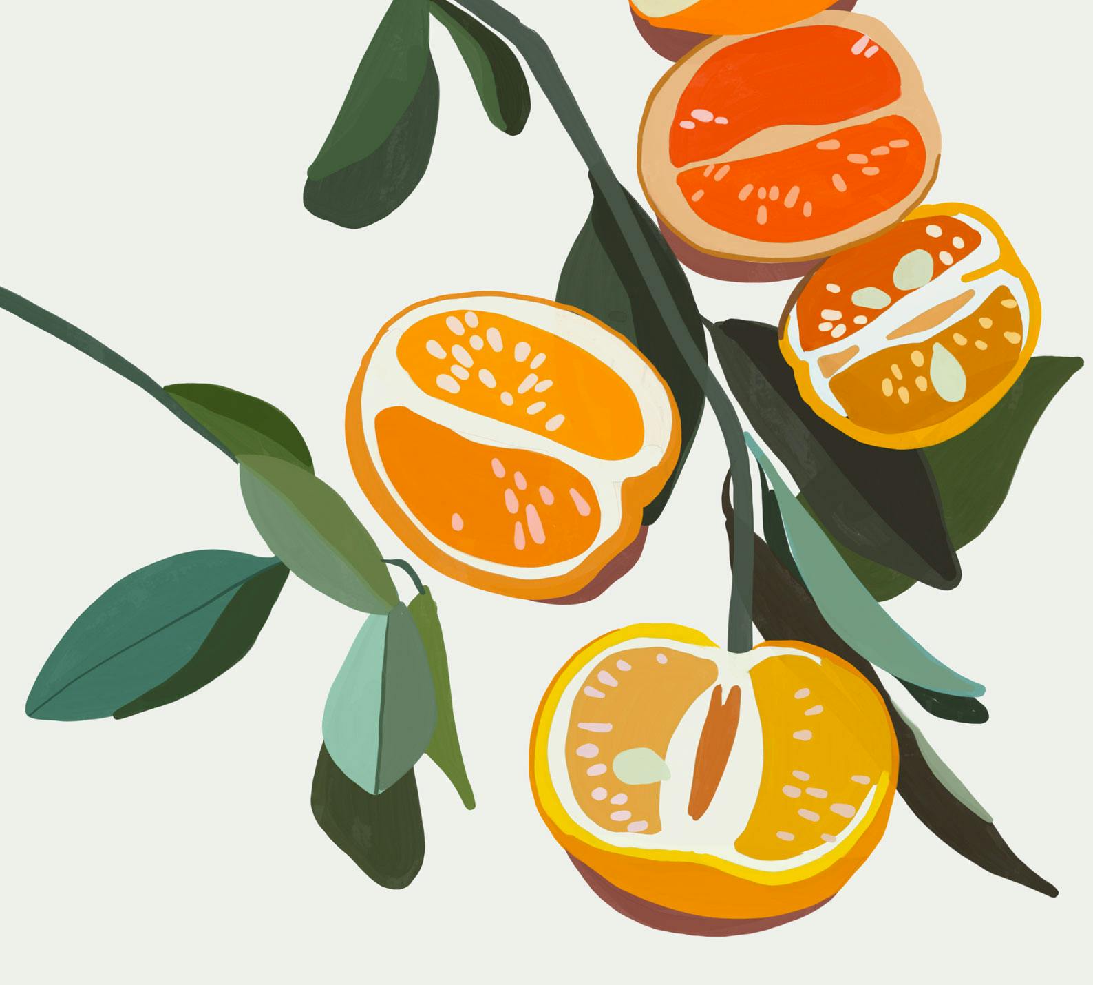 Gouache Oranges painted in Procreate