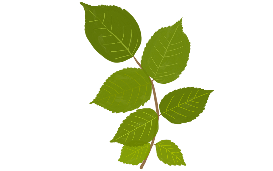 Unlimited Paper + Paint