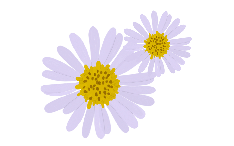 No Mess, No Clean Up