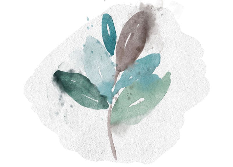 Procreate Messy Watercolor techniques: Extra loose, extra messy