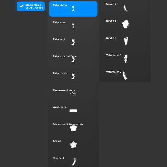 Bonus Item for All Project Brush Files