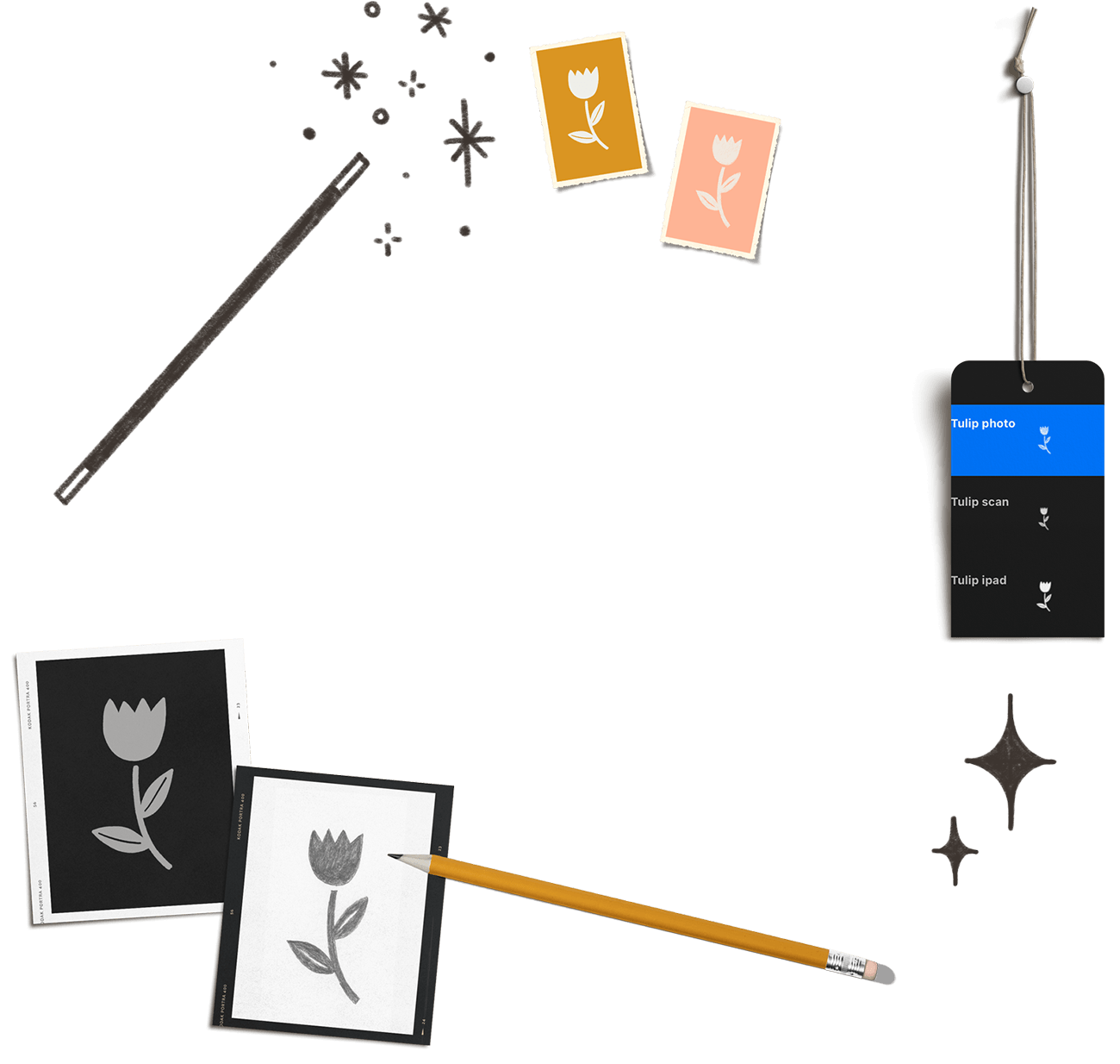 Every-Tuesday Feature Image