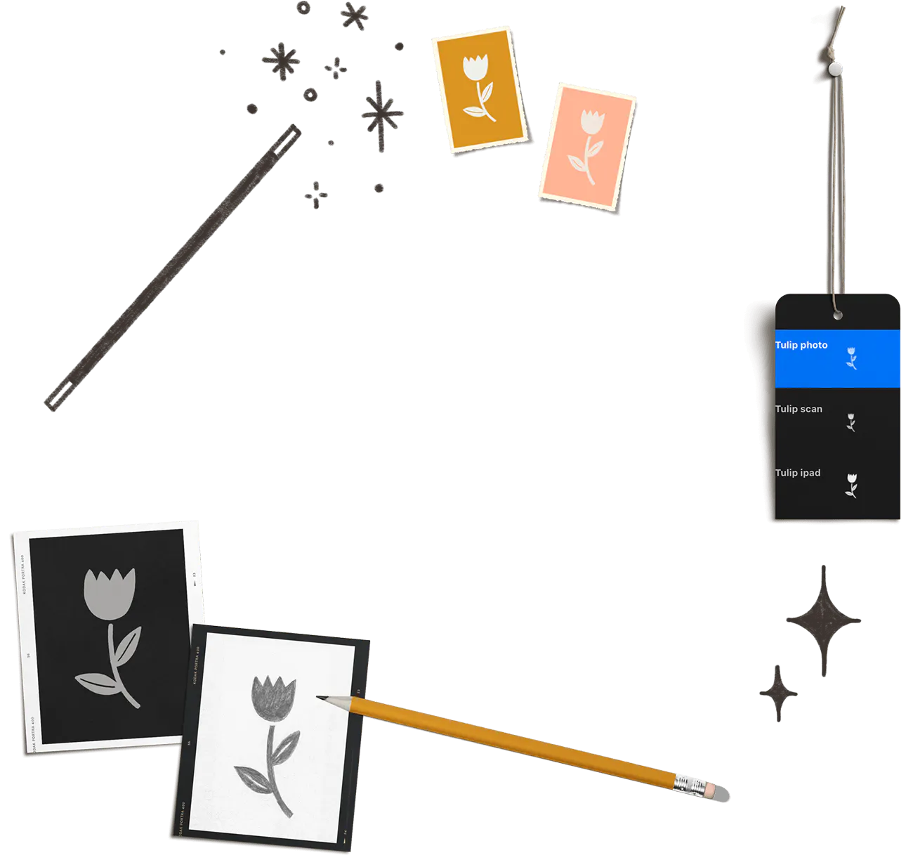 Every-Tuesday Feature Image