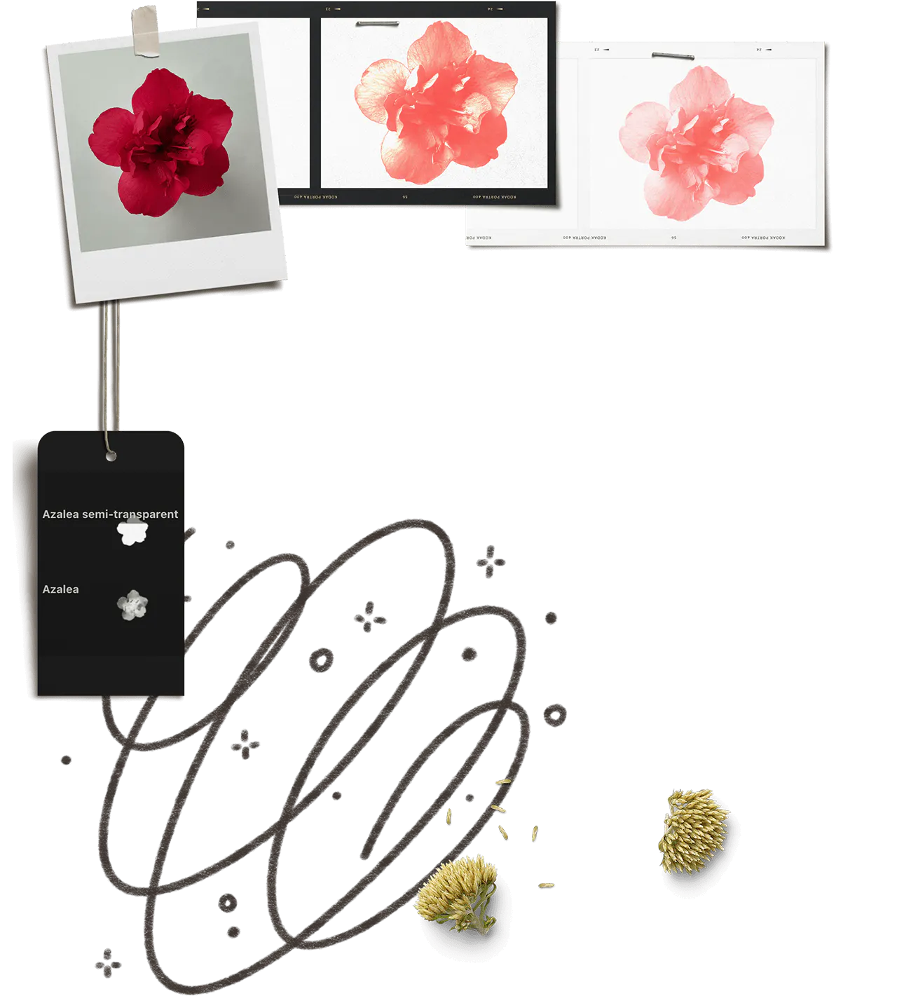 Every-Tuesday Feature Image