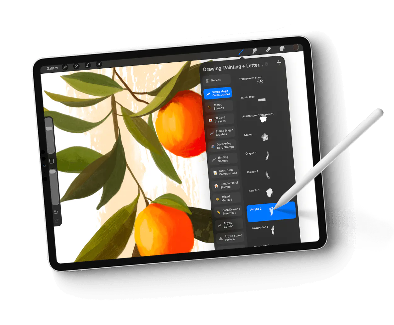 Mixed Media in Procreate is a 100% self-paced on-line course